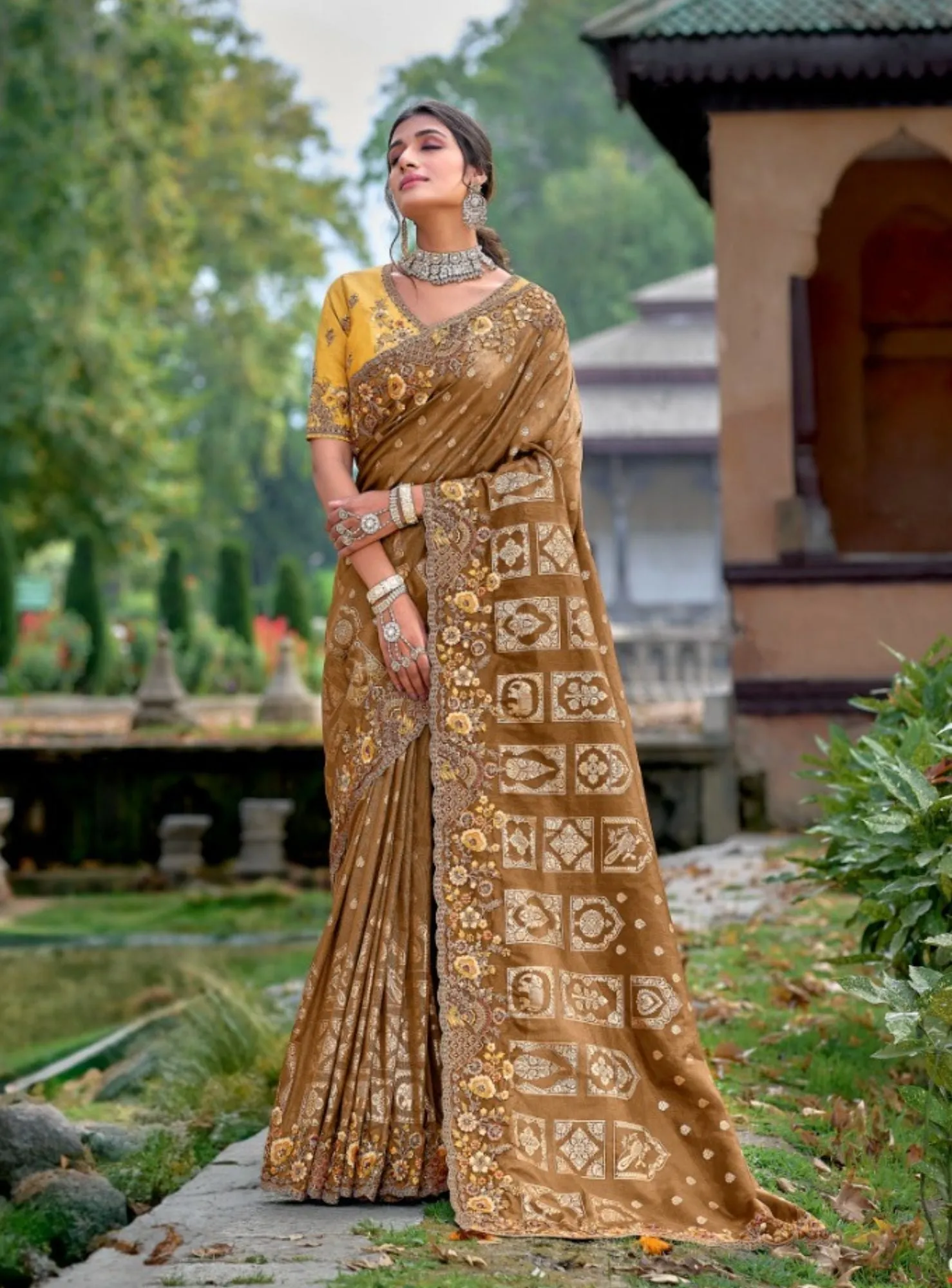 BROWN ELEGANT AND TRENDY DESIGNER EMBROIDERY SAREE - RENT