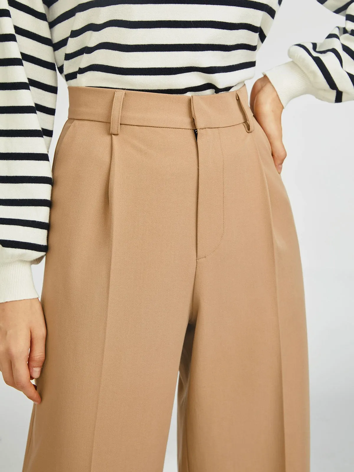 High Waisted Pleated Wide Leg Pant