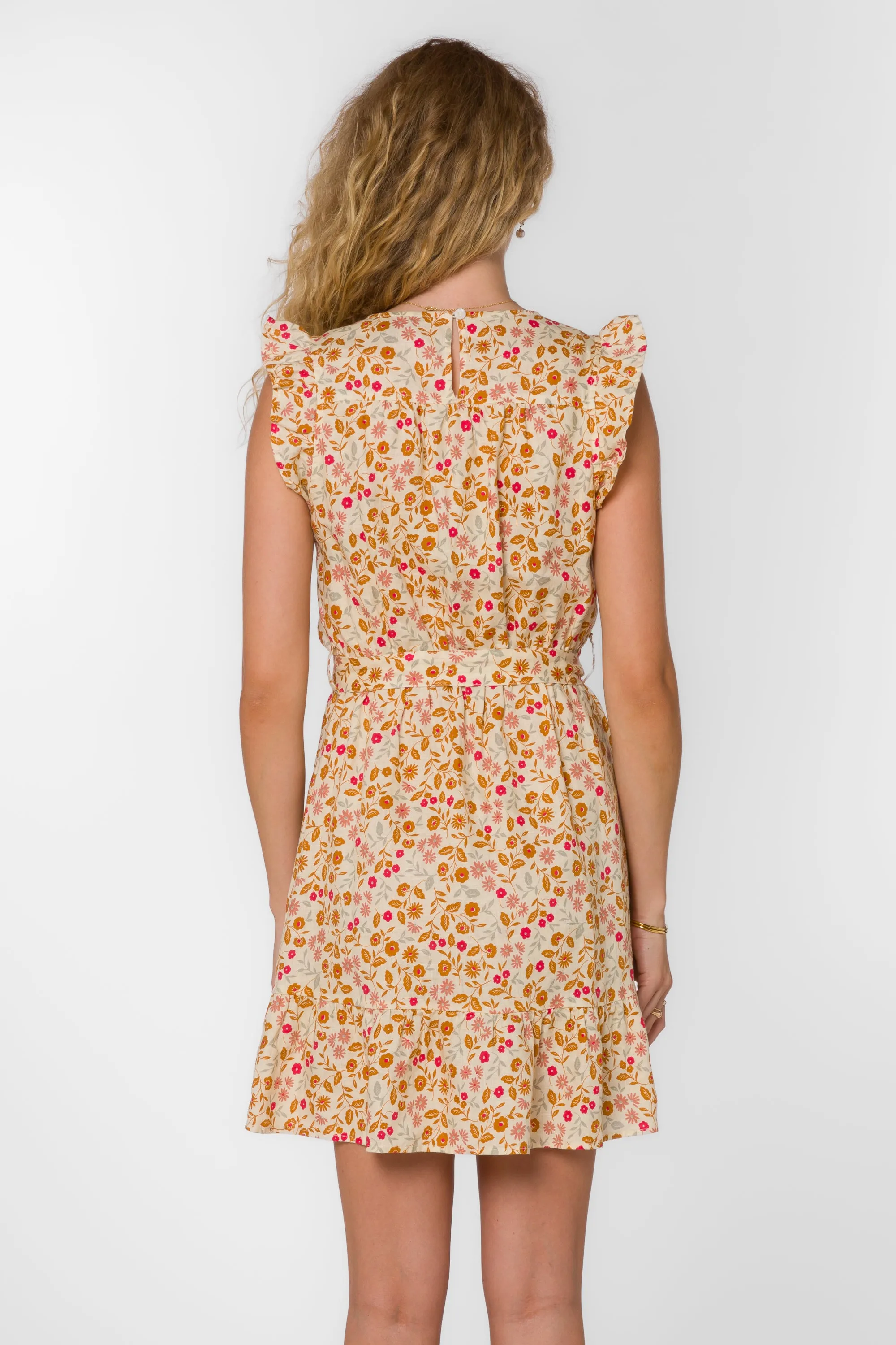 Tabatha Brown Ditsy Floral Dress